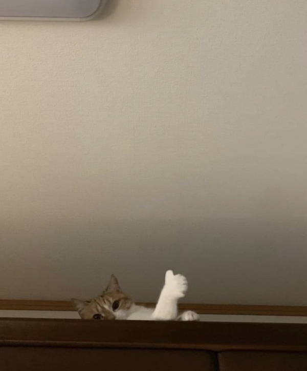 こんばんは☪︎