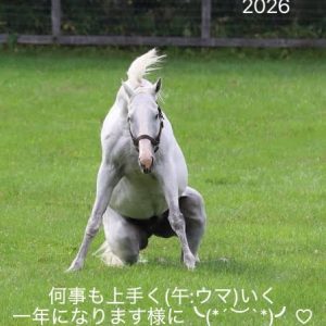 謹賀新年