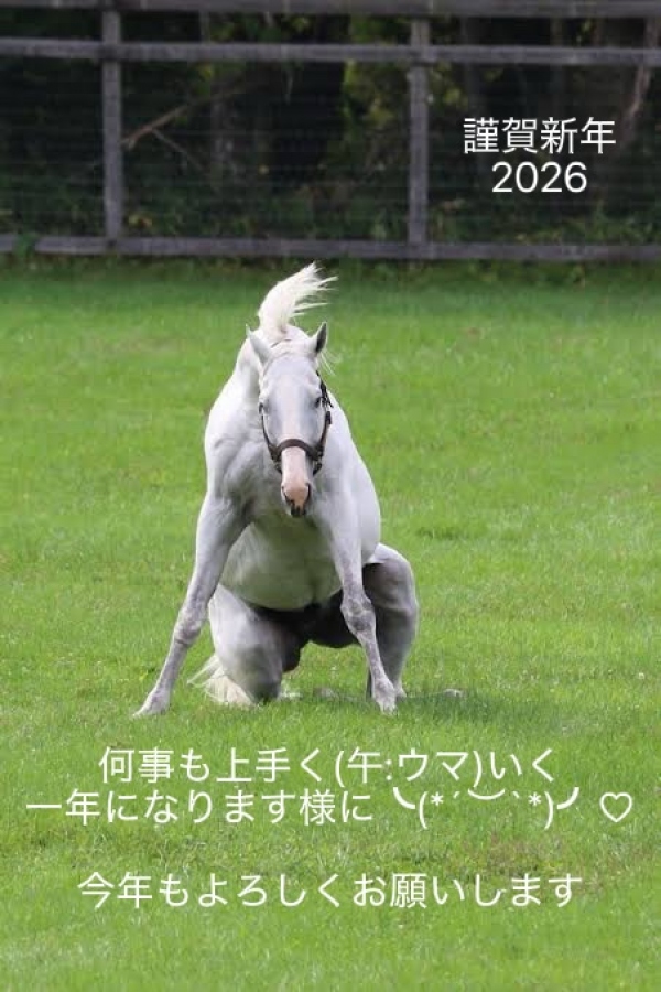 謹賀新年